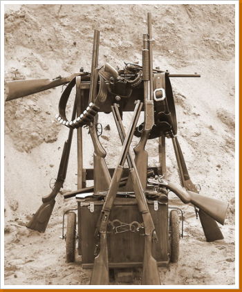 tom-cart-sepia.jpg