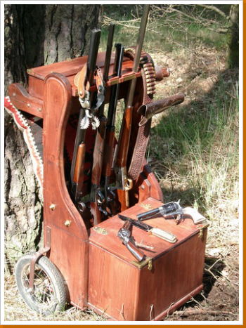 tommy-cart1.jpg